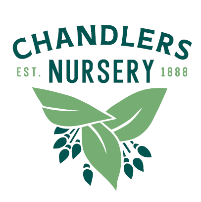Chandler's Nursery